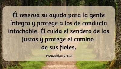 (Proverbios 2:7-8)