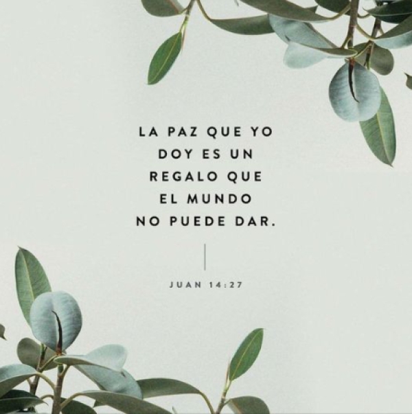 Versículo - Juan 14 : 27